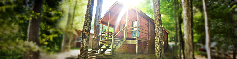 A wooden cottage surrounded by lush greenery and thee sun brightly filtering down