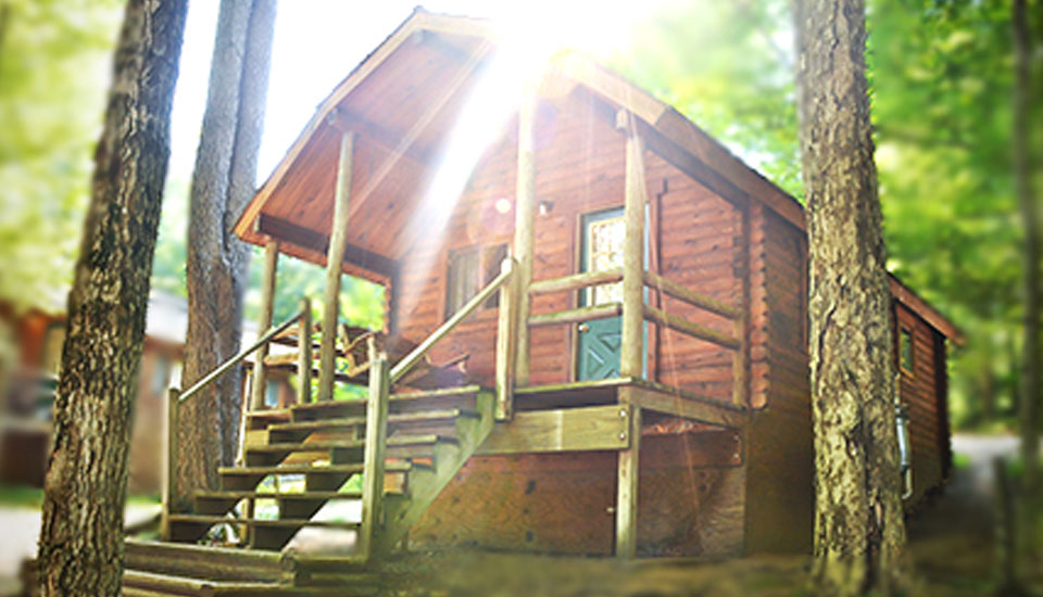 A wooden cottage surrounded by lush greenery and thee sun brightly filtering down