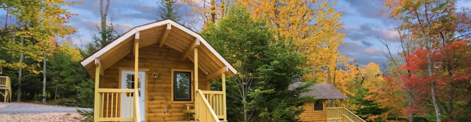 a cabin surrounded by fall foliage