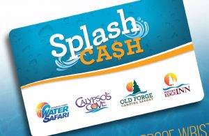 the splash card with water safari, calypso cove, old forge camping resort, and waters edge inn on the card