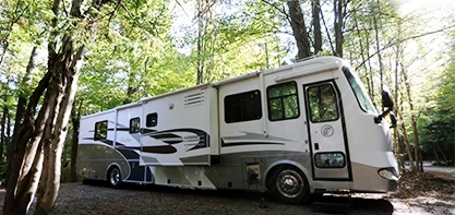 An rv surrounded by lush greenery on a sunny day