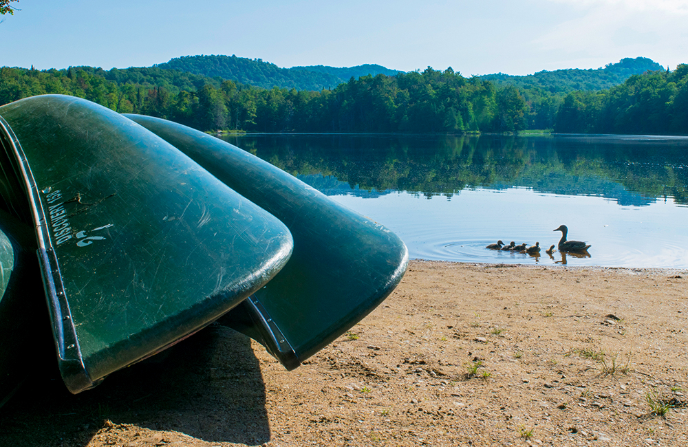 Shown are green canoes near the water. Ducks are also shown swimming in the lake.