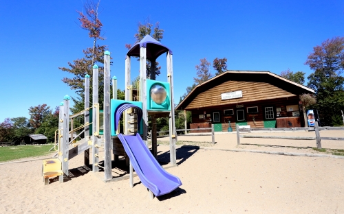 A playground with a building behind it and trees around it