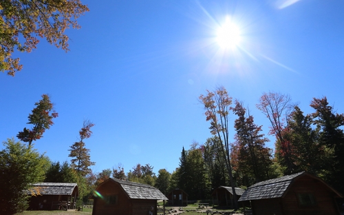 A picture of cabins with trees around them and the sun out in a cloudless sky