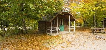 A cottage in the woods at the start of fall with green and yellow trees around it and leaves scattering the ground with a picnic table in front of the cottage