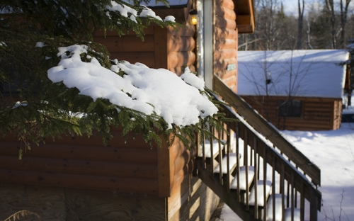 A pine tree with freshly fallen snow on the side of a cabin