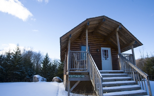 A wooden cottage in the snow with pine trees in the background