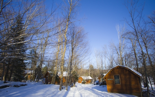 Wooden cottages surrounded by trees in the snow on a cloudless day