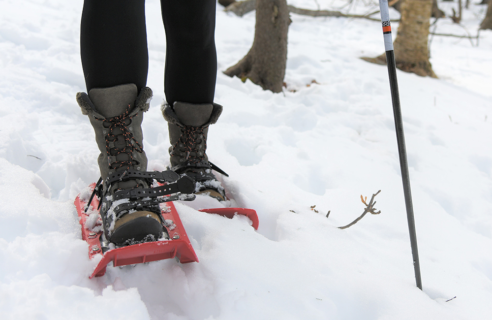 Snowshoes going through the winter snow.