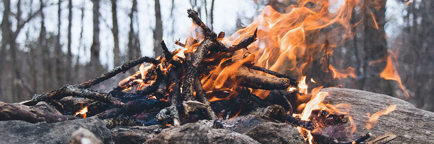 Picture of a campfire.