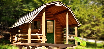 A cottage in the woods surrounded by lush greenery