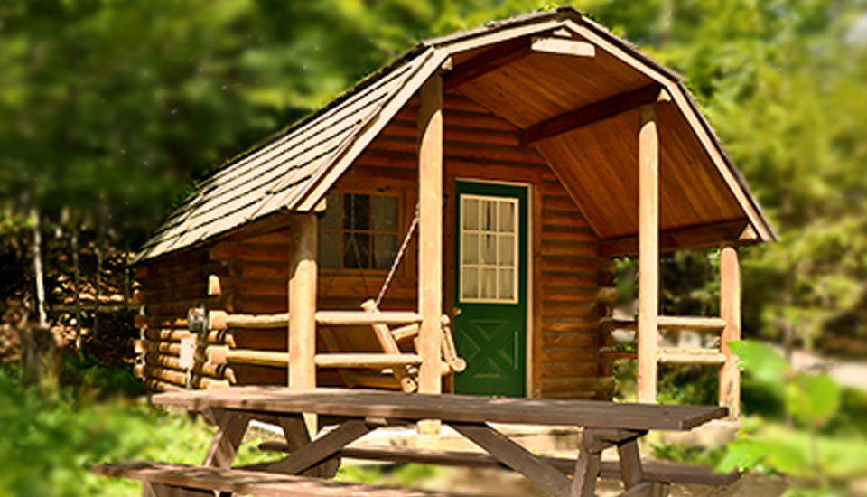 A cabin in the woods surrounded by lush greenery