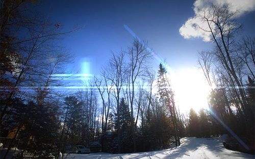 Trees in winter with the sun shinning through and the sky is very blue