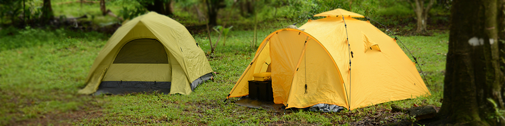 Two tent on green grass in the woods