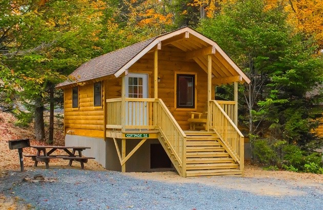 a cabin with a picnic table next to it and trees turning fall colors surrounding the cabin