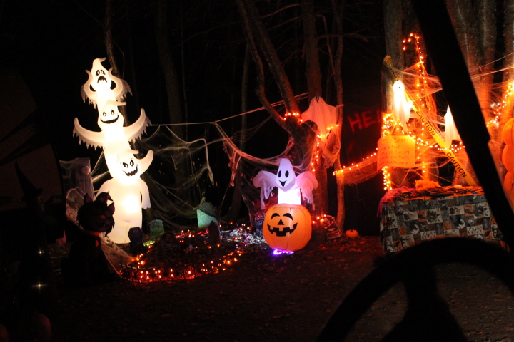 Halloween decorations at night outside in trees