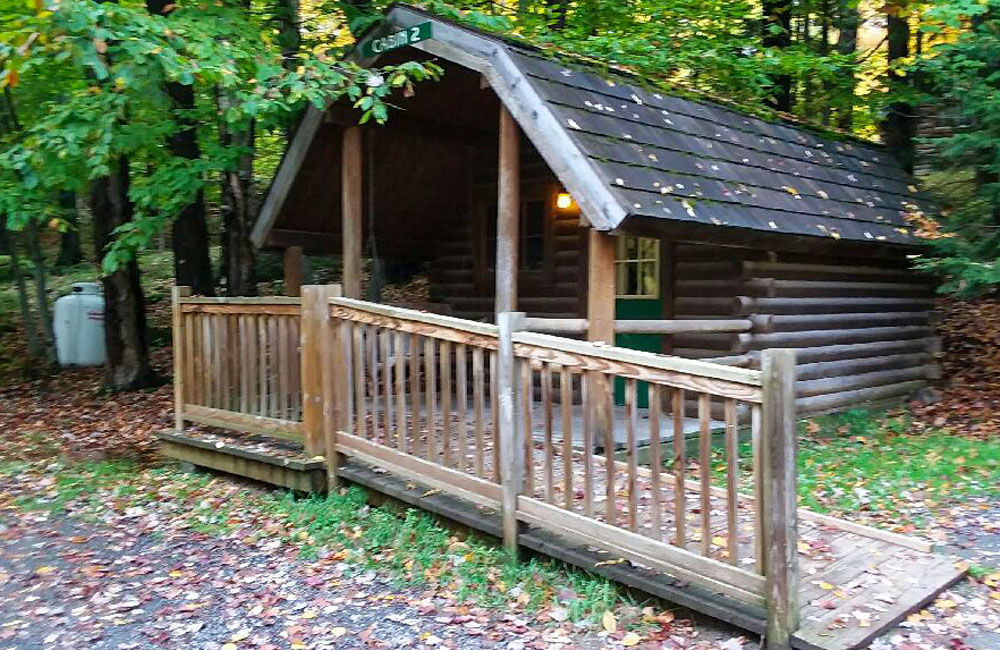 outside, trees, cabin