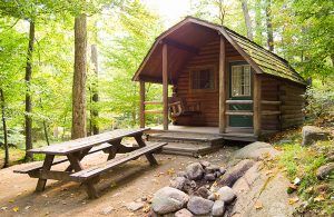cabin in the woods