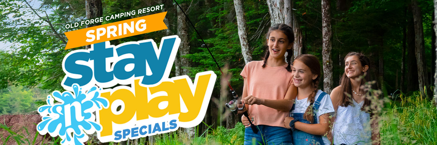 Spring Stay ‘N Play Promo Codes