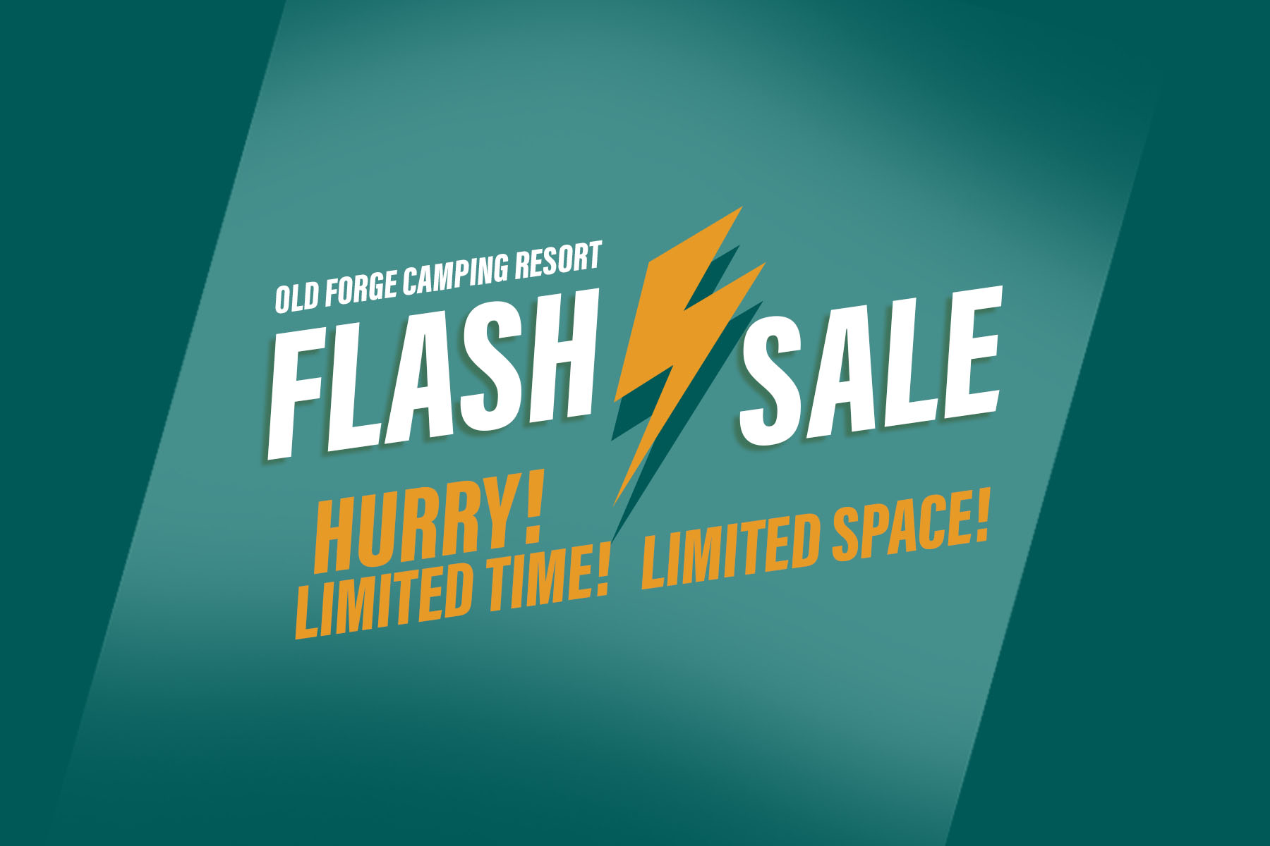 BOGO Flash Sale!