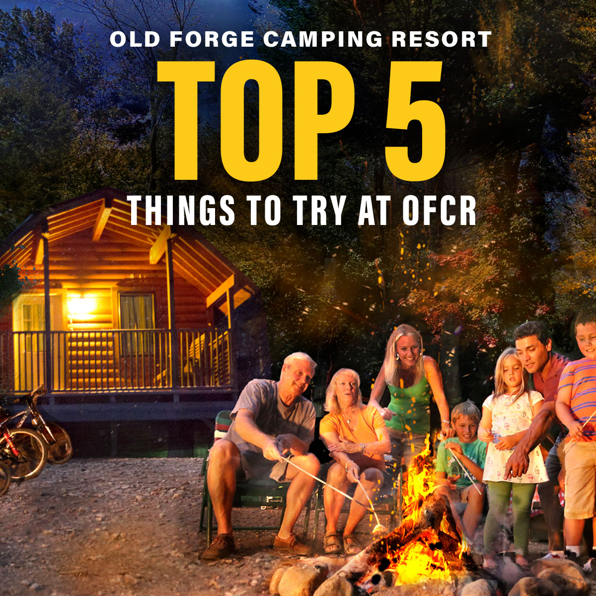 Five Things to Try During Your Visit at OFCR