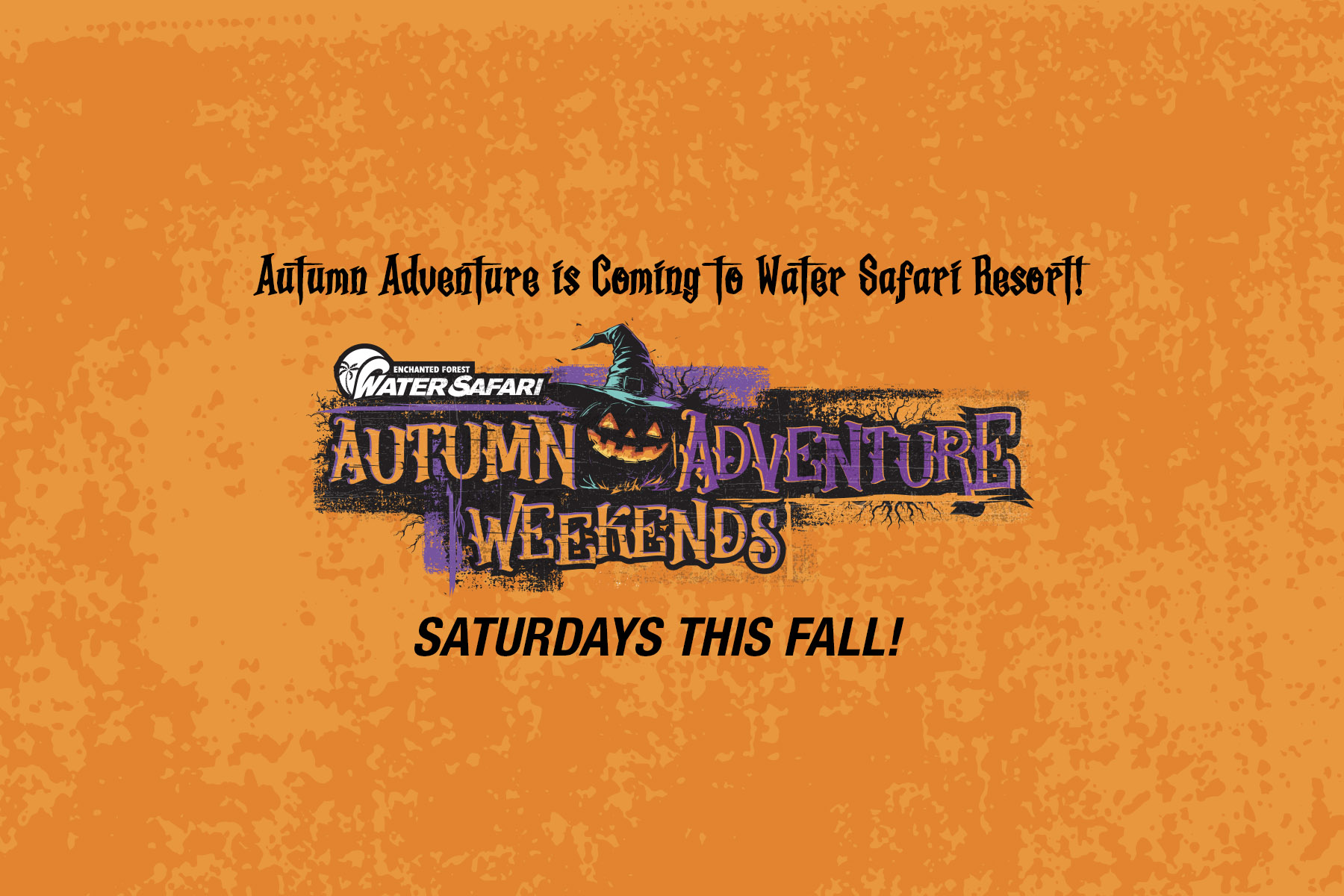 Autumn Adventure at Water Safari!